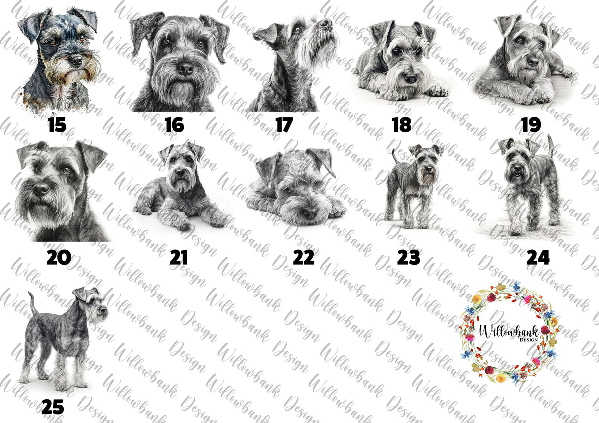 Personalised Miniature Schnauzer Cushion