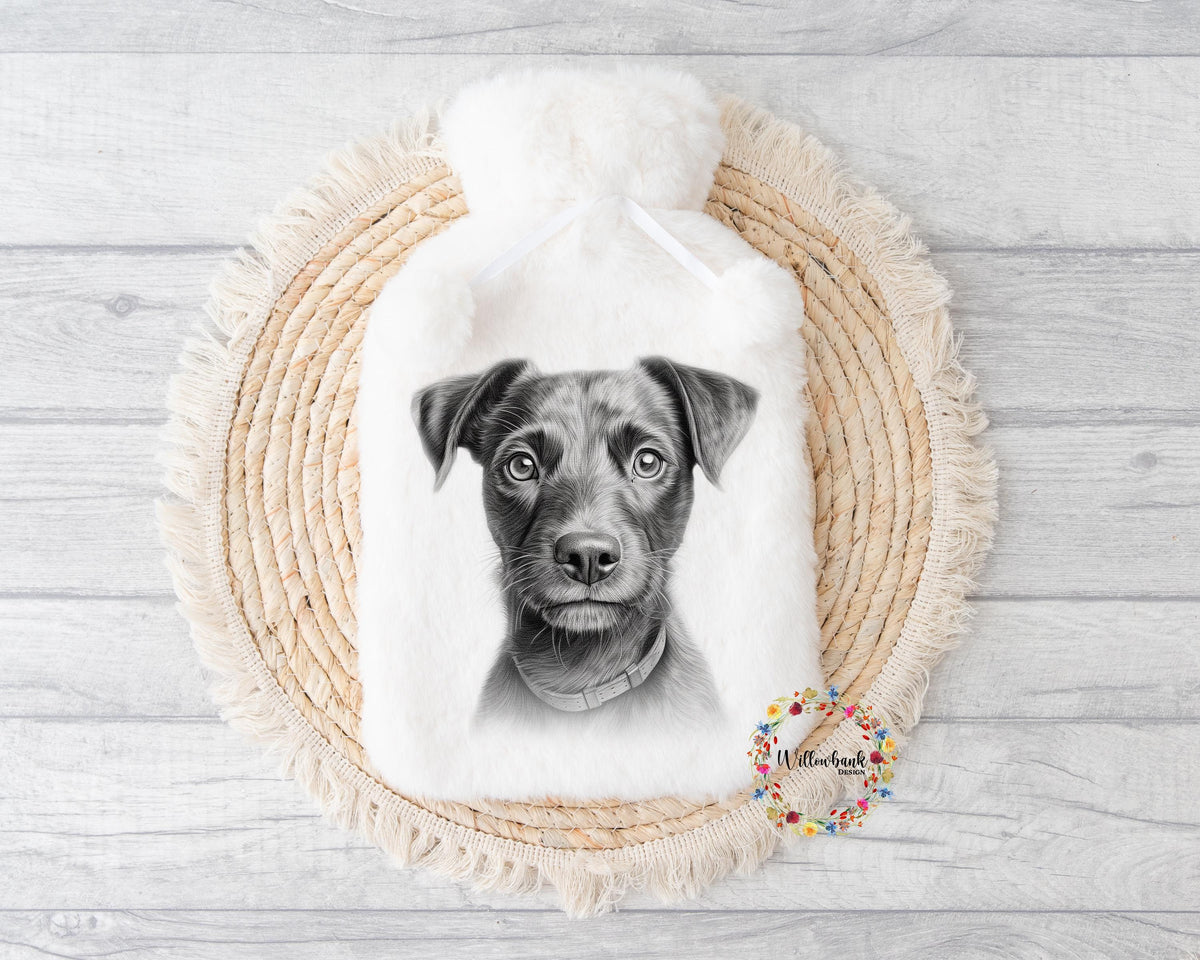 Patterdale Terrier Hot Water Bottle