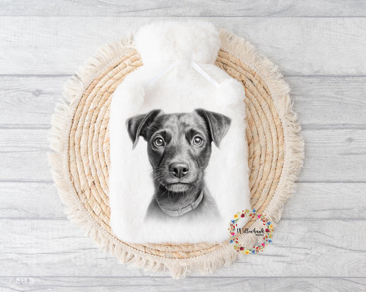 Patterdale Terrier Hot Water Bottle