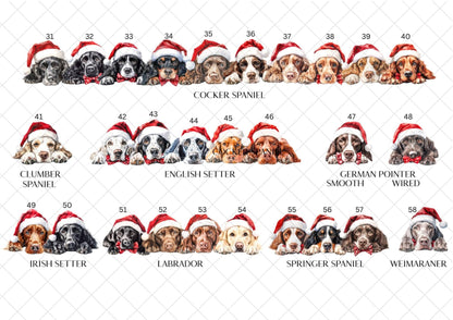 Border Collie Christmas Card l Dog Lover Festive Card l Santa Dogs