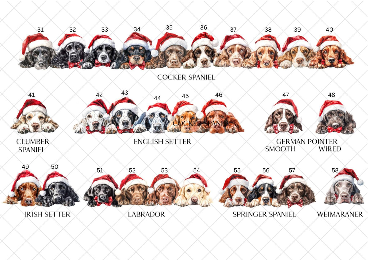 Border Collie Christmas Card l Dog Lover Festive Card l Santa Dogs