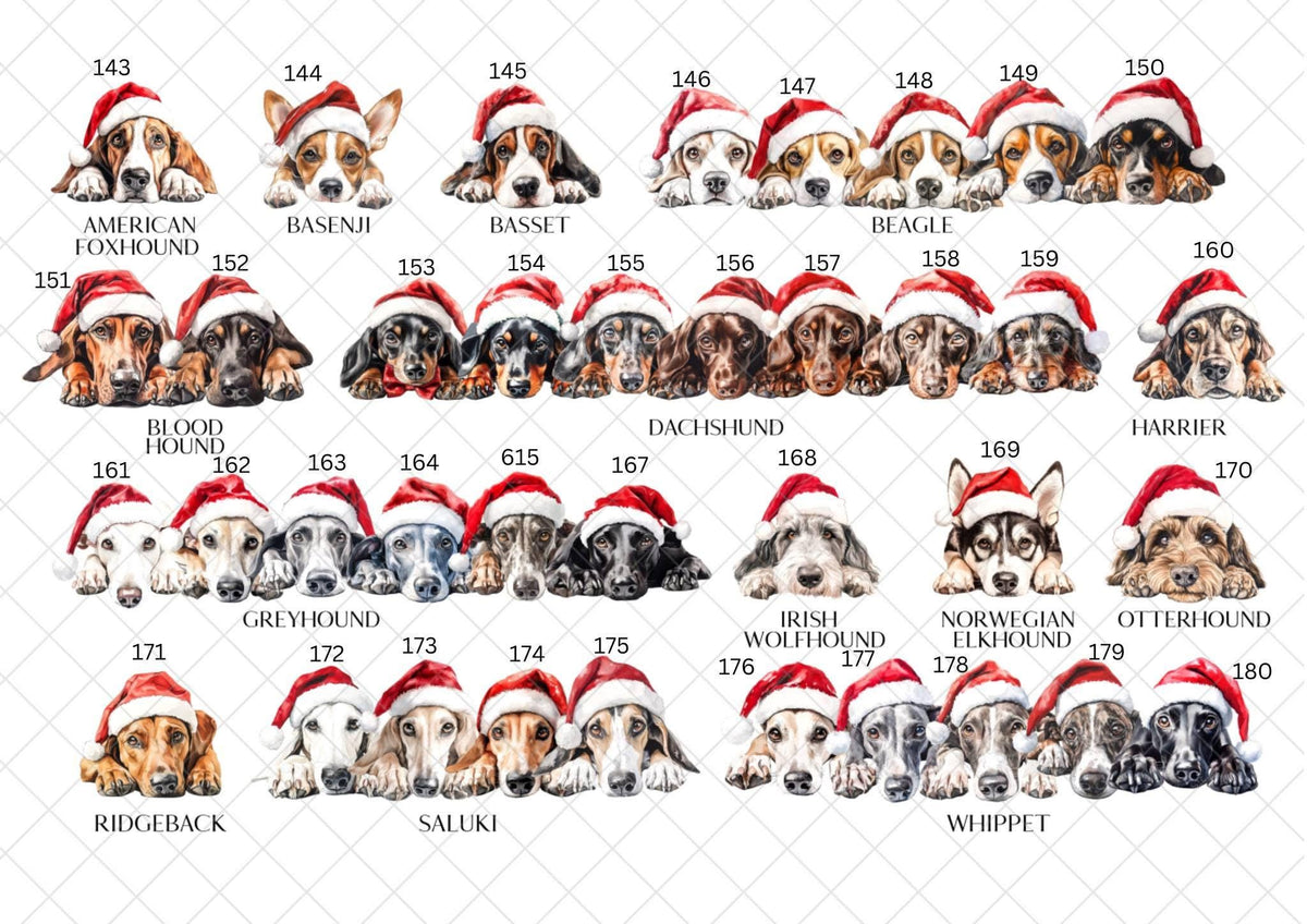 Beagle Christmas Card l Dog Lover Festive Card l Santa Dogs