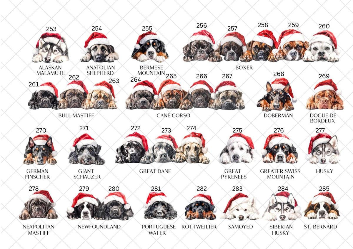 Border Collie Christmas Card l Dog Lover Festive Card l Santa Dogs