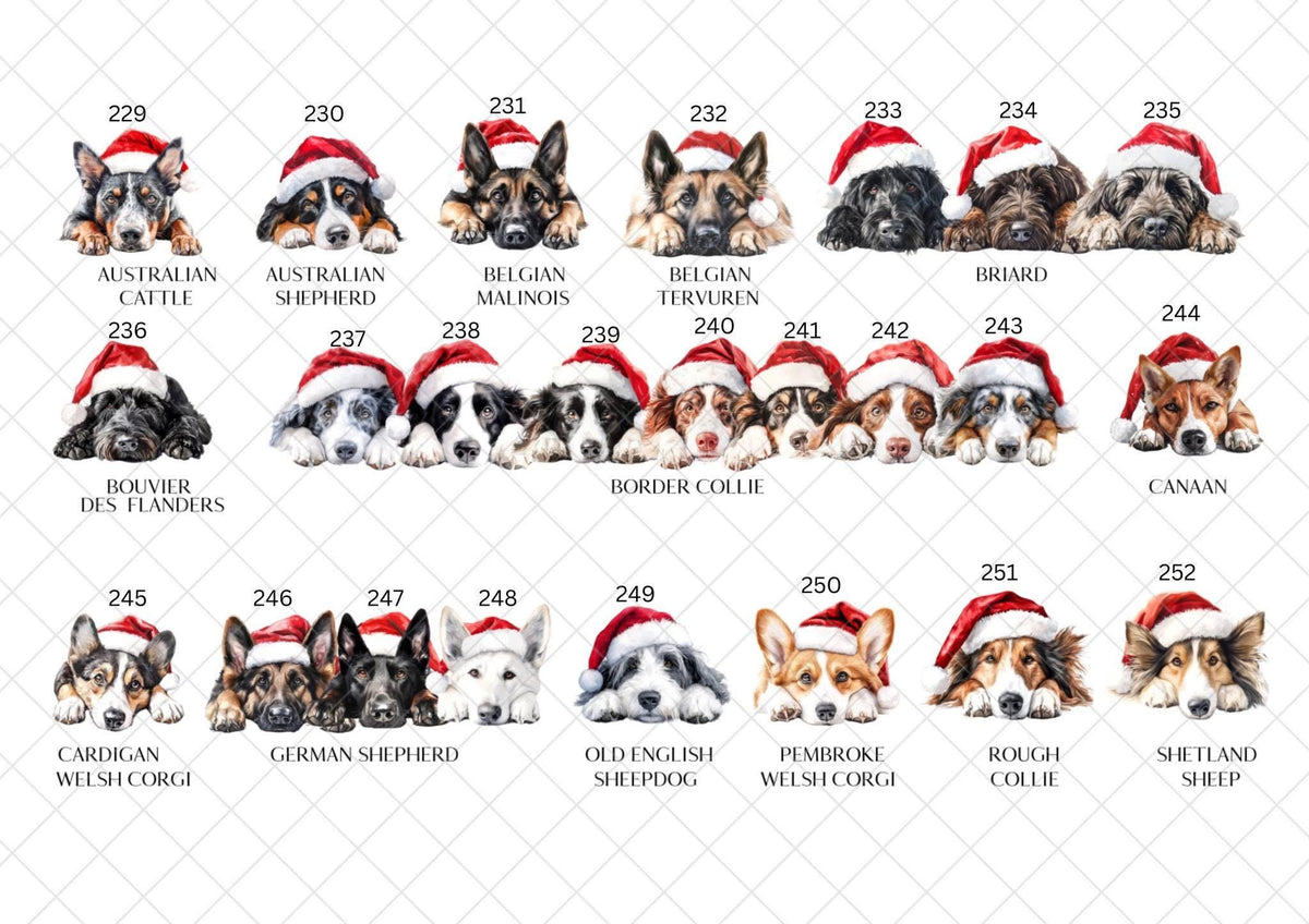 Border Collie Christmas Card l Dog Lover Festive Card l Santa Dogs