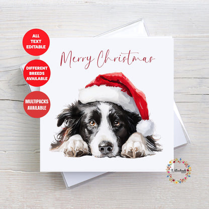 Border Collie Christmas Card l Dog Lover Festive Card l Santa Dogs