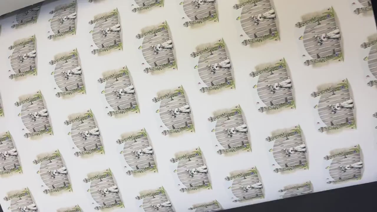 Custom Miniature Schnauzer Wrapping Paper l Gift Wrap